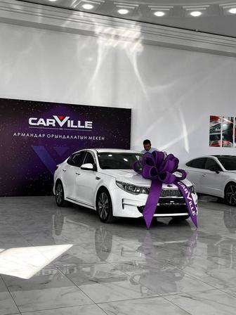 Трезвый водитель