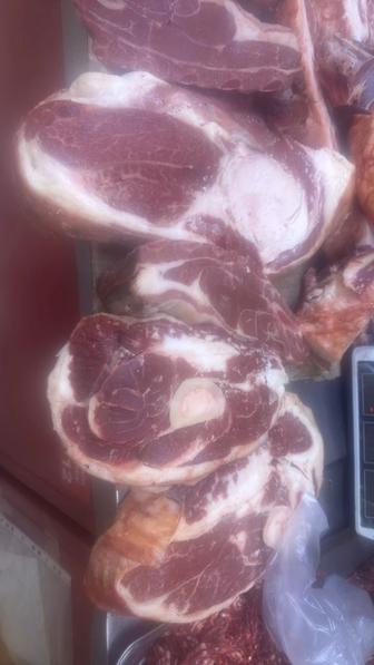 мясо говедина конина