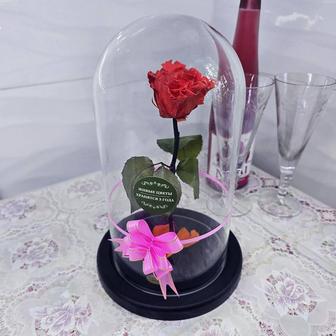 Продам розу в колбе 29 см.