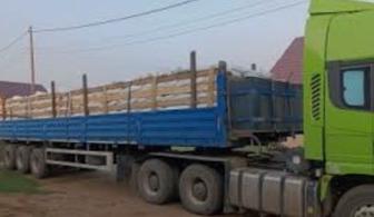 Грузоперевозки По Казахстану СНГ