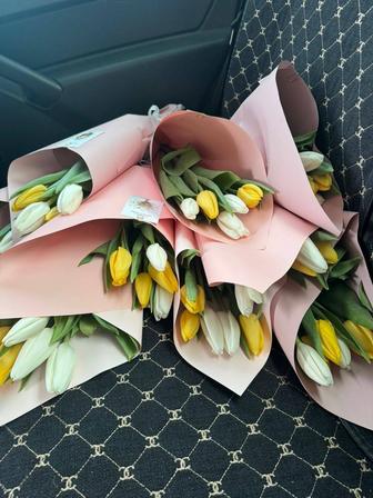 ТЮЛЬПАНЫ С ДОСТАВКОЙ!!!