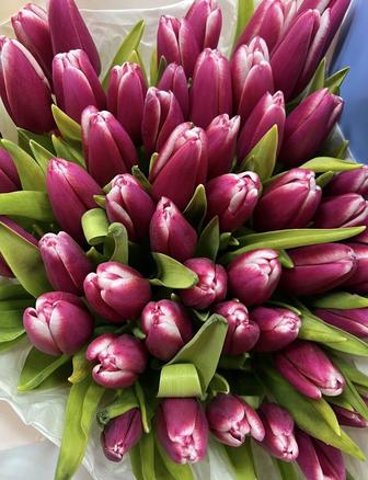 Тюльпаны к 8 марта