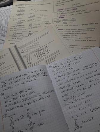 Делаю доклады, презентации, рефераты, набираю текст.