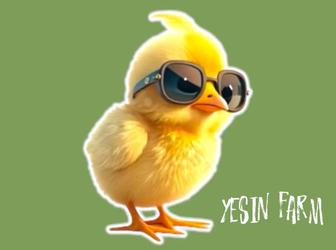 Инкубационные яйца бройлера арбор айкрес крупный бройлер