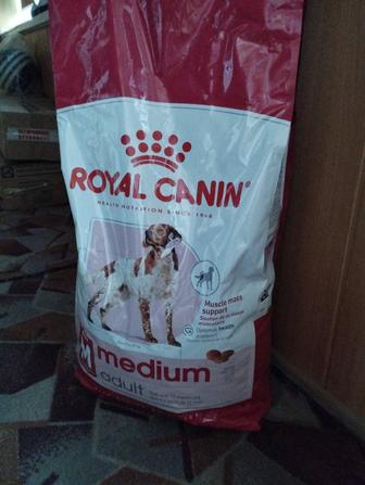 Корм для собак
