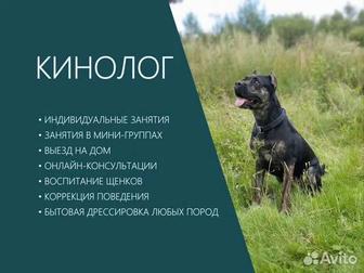 Кинолог с выездом.