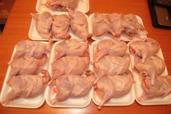 мясо перепелки