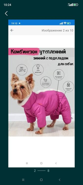 Продам комбинезон для собак