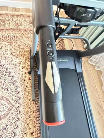 Беговая дорожка