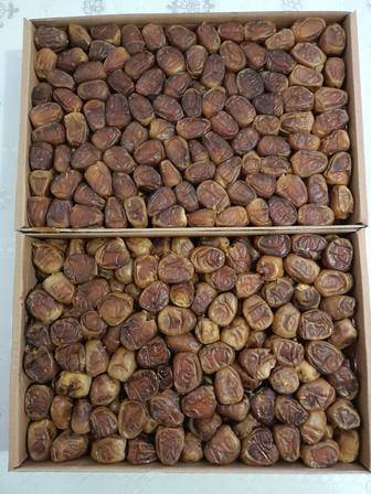 Финики суккари, медовые, элитный сорт фиников.