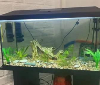 Продам аквариум с оргстекла