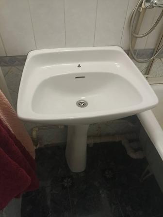 Раковина тюльпан