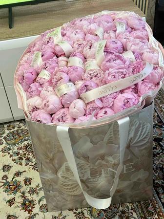 СРОЧНО! Продам букет пионов Celine 101шт