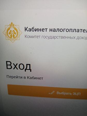 Отчеты отчеты