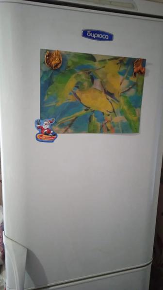 Двухкамерный холодильник фирмы Бирюса