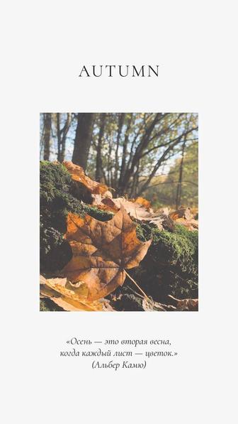 Начинающий видеограф, смм - специалист, ведение Tik-Tok