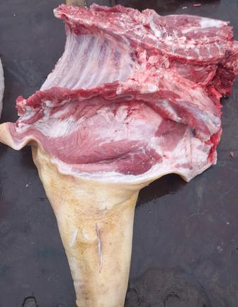 Продам Мясо Свинины домашнее