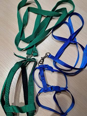 Поводки для кошек и собак