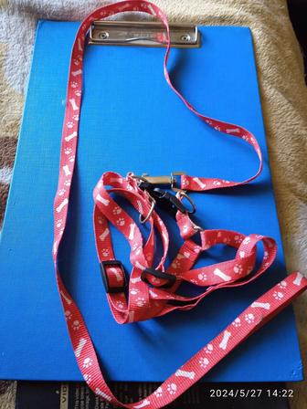 Шлейка миска лоток