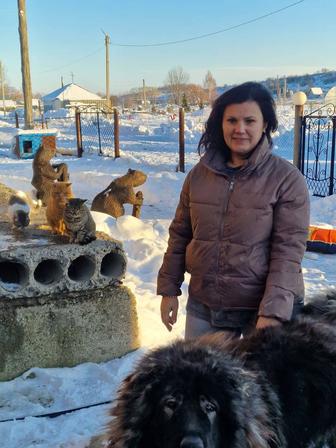 Передержка домашних животных