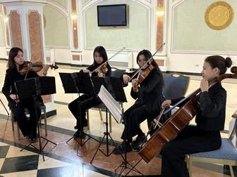 Квартет, живая музыка, струнный ансамбль