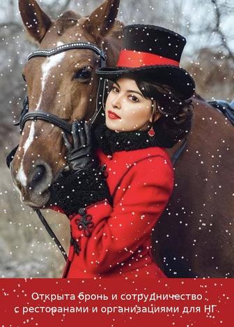 Ведущая на новогодние корпоративы