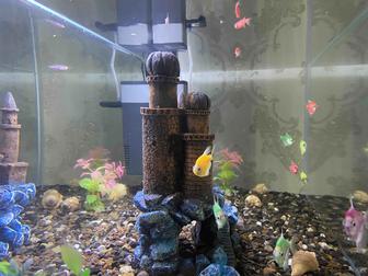 Продам аквариум с рыбками 100 литров