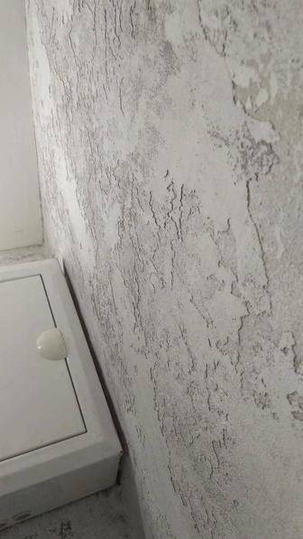 Обучающие курсы по нанесению декоративных штукатурок. Обучение мастеров.