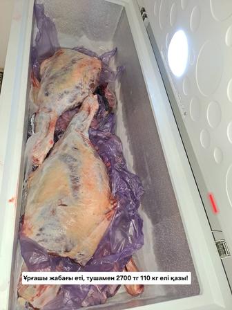 Ұрғашы жабағы еті.Мясо конина молодняк