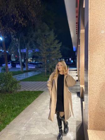 Администратор