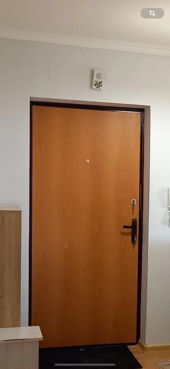 Дверь входная железная