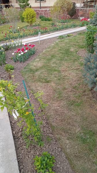 Уборка территорий.