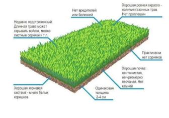 Устройства натурального газона