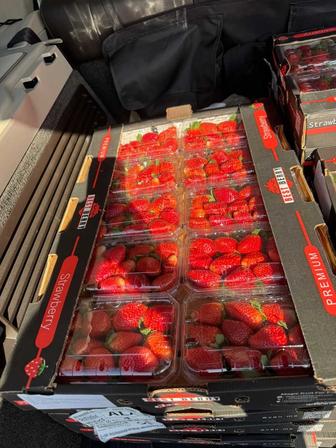 Продам клубники египетский сегодняшний