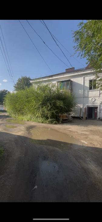 Требуется спил кустарников
