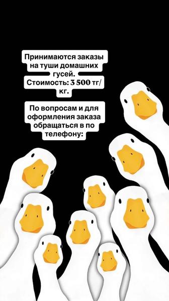 Туши домашних гусей