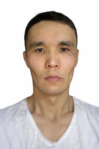 Трезвый водитель