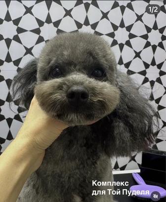 Стрижка собак и кошек/Студия груминга НЯШКА