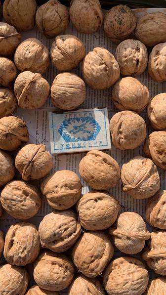 Продаю свежие грецкие орехи