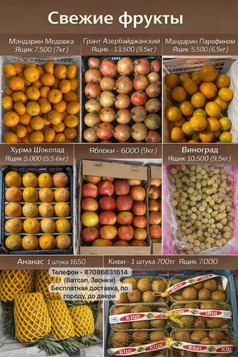 Продажа фрукты