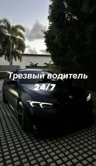 Трезвый водитель