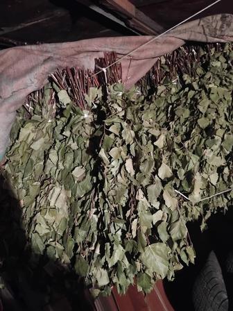 Продам веники березовые .