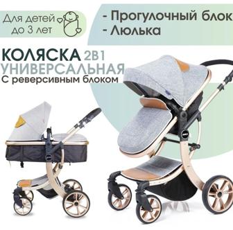 Коляска 2в1