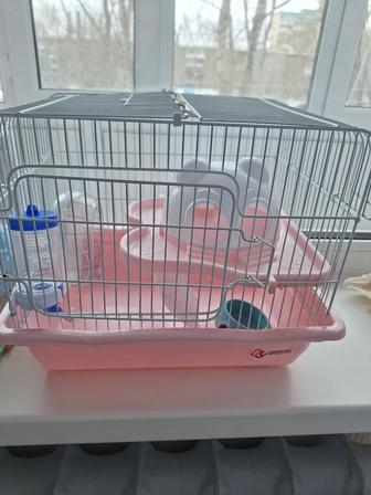 Клетка для джунгарика