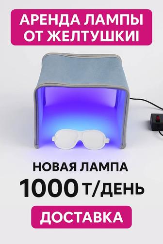 Аренда лампы от желтушки