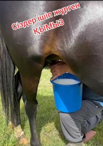 Қымыз. Қымыран. Ешкі сүті. Көже.Боза. Құрт. Май. Айран. Сүт.