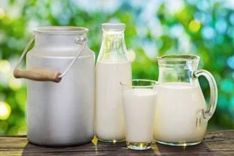 Продам козье молоко