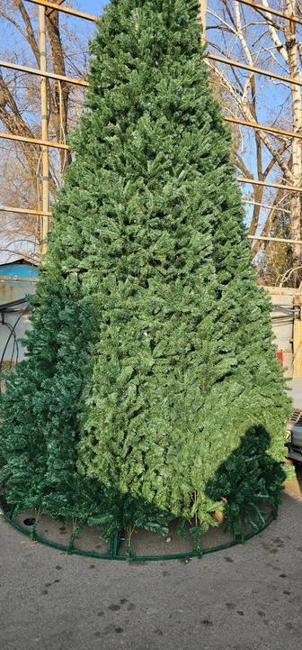 Елка с ветками 8 и 10 метров