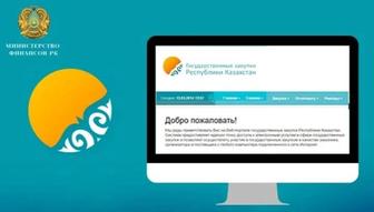 Государственные Закупки, Индивидуальное Обучение