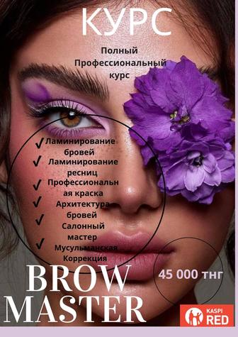 Курс БРОВИСТ BROW Мастер Ламинирование Окрашивание ресниц бровей Архитектур